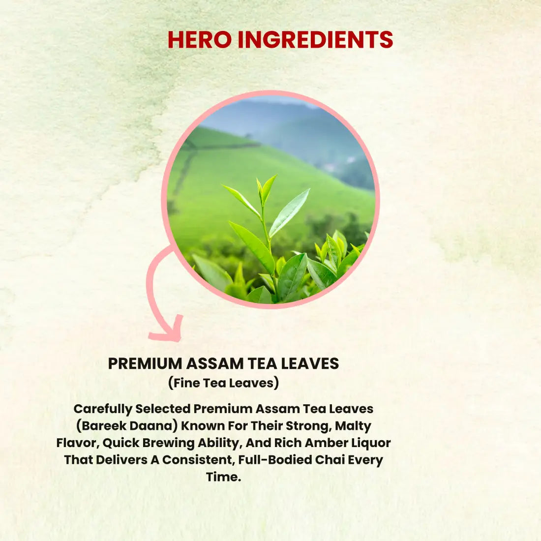 Sukoon CTC Fannings Tea- 250gm