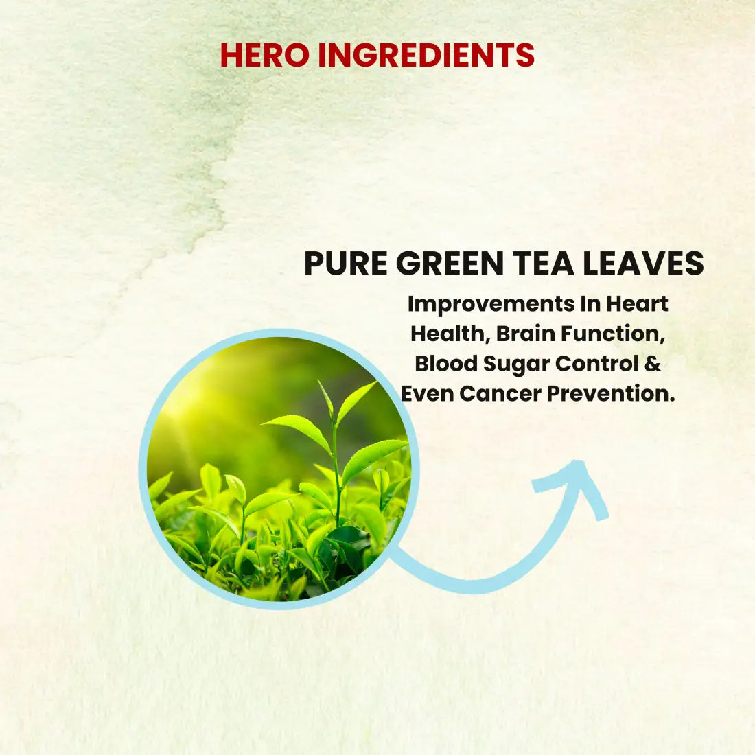 Sukoon Plain Green Tea