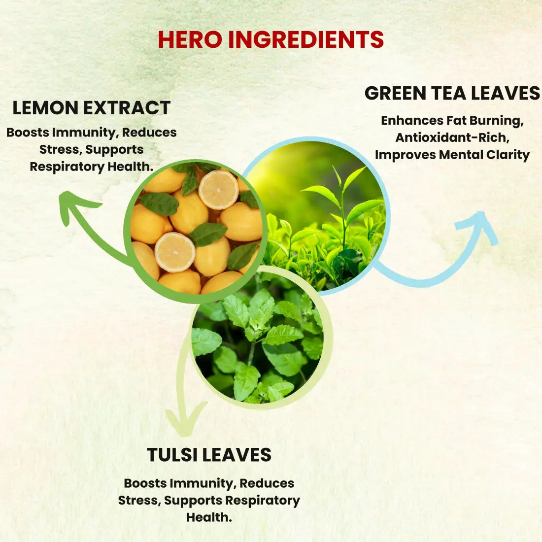 Sukoon Lemon Tulsi Green Tea