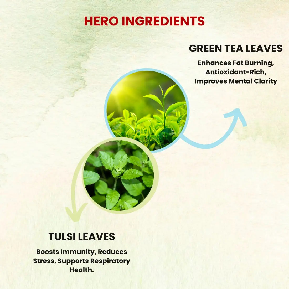 Sukoon Tulsi Green Tea